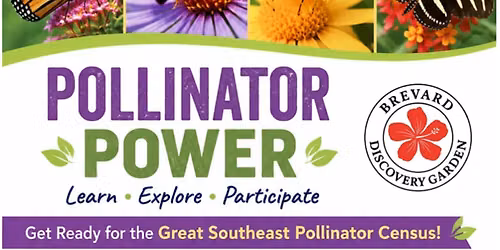 Pollinator Power in the Brevard Discovery Garden!