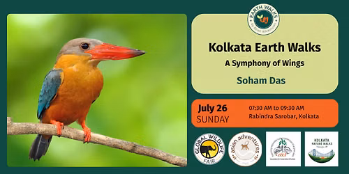A Symphony of Wings of Rabindra Sarovar