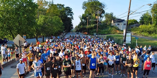 Adams Realtors Run For The Park 5K Returns to Kick Off The 24th Annual Summer Shade Festival