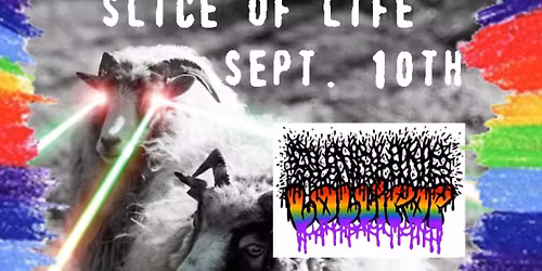 Sunshine Lollipop \/\/ Fantastic Flying Foelschs \/\/ Reaper PunX