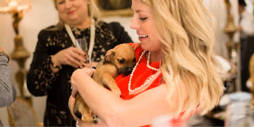 Shop Local with The Hive & Support Houston SPCA During Tax-Free Weekend