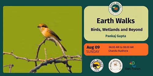 Birds, Wetlands and Beyond
