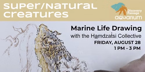 Marine Life Drawing at the CRAG