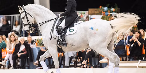 Brooke USA's Divertimentos & Dressage: An Evening of Horses & Symphony