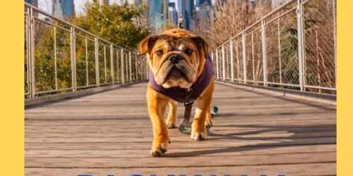 Brooklyn Packwalk