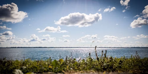 Stillness & Seeing: Yoga by the Water