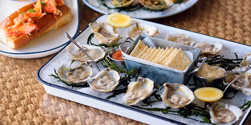 Celebrate National Oyster Day at The Big Ketch Saltwater Grill