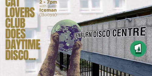 Cat Lovers Club does Daytime Disco