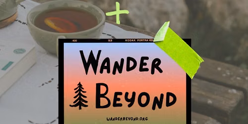 A Taste of the Forest: Wild Autumn Tea Walk
