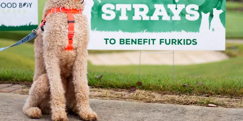 Furkids Tees Up for a Cause at Annual Swing Fore Strays Charity Golf Tournament