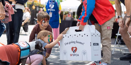 Clear the Shelters Free Adoption Event