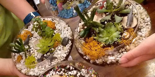 Succulent Terrarium Planting Event at Columbus Brewing Company
