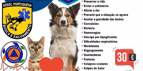 CURSO PRIMEIROS SOCORROS ANIMAIS