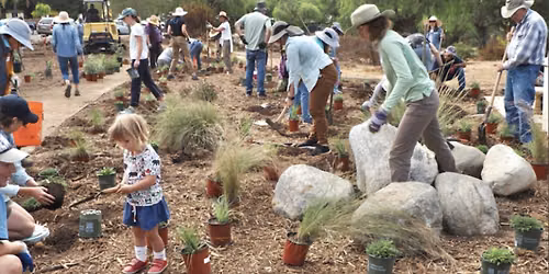 Build & Learn Workshop Series: Learn Native Garden Skills