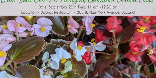 Build Your Own Air Purifying Container Garden Class