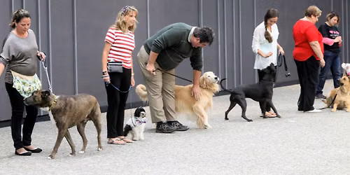 A Starry Night-Tail Waggin' Talent Show