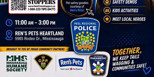 pet safety in fire, home and car emergencies- partners in paws and safety