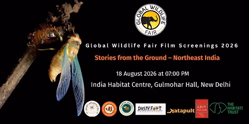 Stories from the Ground \u2013 Northeast India