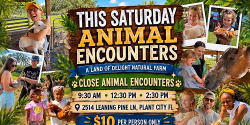 This Labor Day Weekend Saturday | Meet, Pet & Interact: Close-Up Farm Animal Experience | Plant City