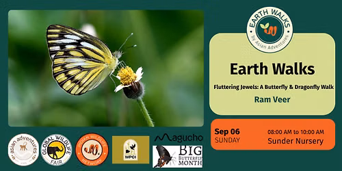 Fluttering Jewels: A Butterfly & Dragonfly Walk