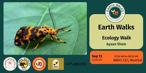Ecology Walk at Mumbai
