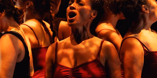 Tasha Faye Evans - Cedar Woman