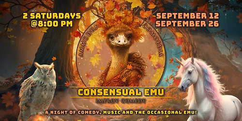 Consensual Emu - Musical Improv Headliner