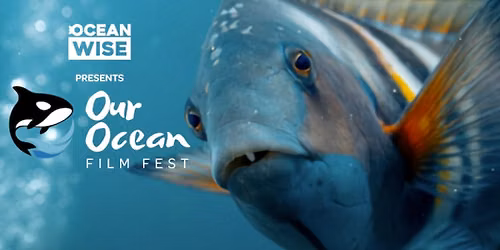 Our Ocean Film Fest Canada in Victoria