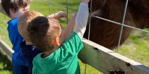 Little Farmer Friday: Rodeo on the Farm