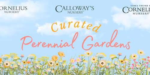 Curated Perennial Gardens