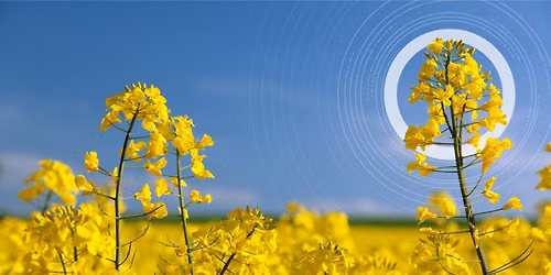 Argus Australia Fossil to Future Fuels Forum 2026