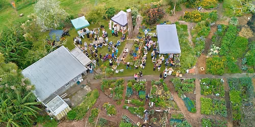 Kelmarna Spring Seedling Sale & Garden Party - free entry