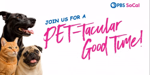 Pet-tacular Time in the Park
