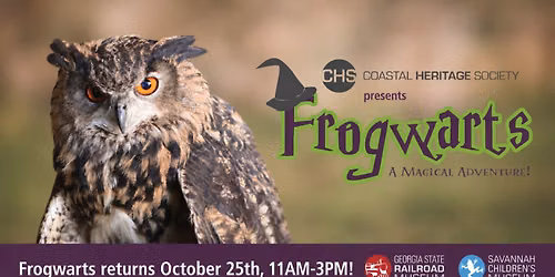 Frogwarts: A Magical Adventure!