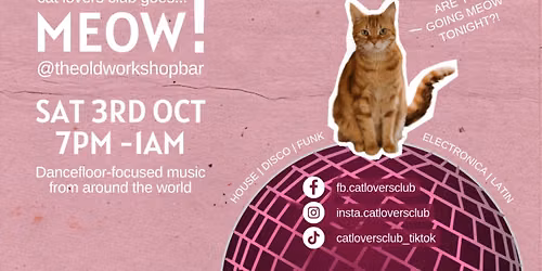 Cat Lovers Club goes... MEOW! At the Old Workshop
