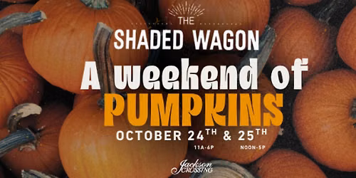 A weekend of Pumpkins with The Shaded Wagon!