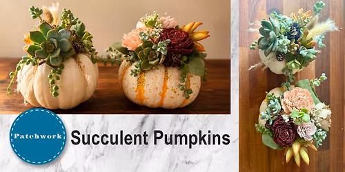 Patchwork Presents Succulent Pumpkins Craft Workshop