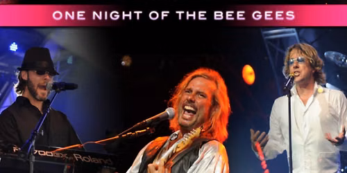 Stayin' Alive  A Bee Gees Tribute