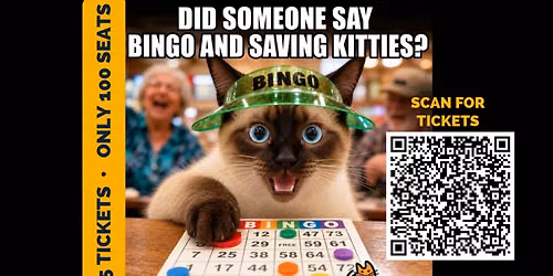 Bingo Night for the Cats \ud83d\udc3e \u2014 Surrey CATS Fundraiser