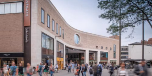 Sunflowers to bloom at Westgate Oxford in centre\u2019s floral takeover 