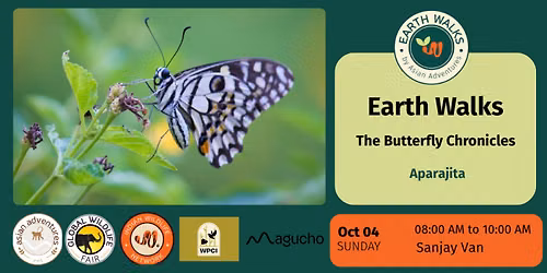 The Butterfly Chronicles at Sanjay Van