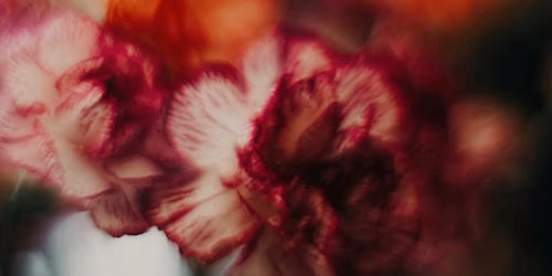 Embodying the Goddess | Tantric Workshop for Women