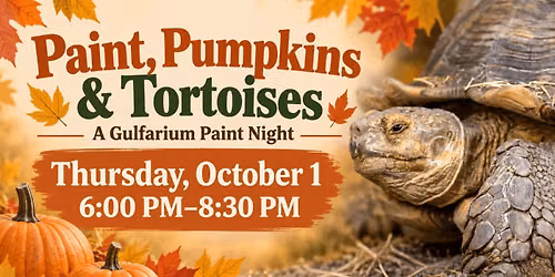 Paint, Pumpkins and Tortoises: A Gulfarium Paint Night