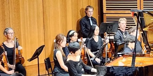 Free concert: Timeless Harmonies by The Magnificals Chamber Orchestra