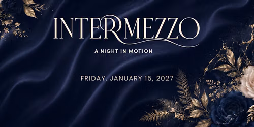 Intermezzo: A Night in Motion
