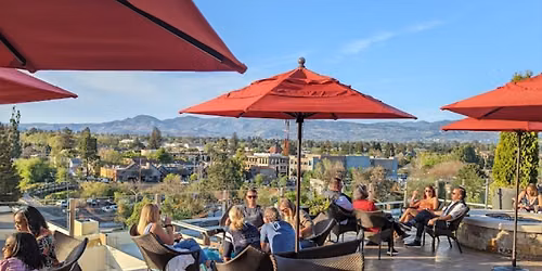 Rooftop Party at Lovely Hotel for Single Professionals, 40+