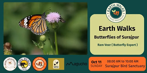Butterflies of Surajpur 