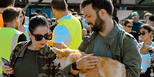 East Market presenta Pet Market, il nuovo spazio dedicato al mondo degli animali domestici