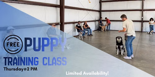 FREE Puppy Training Class