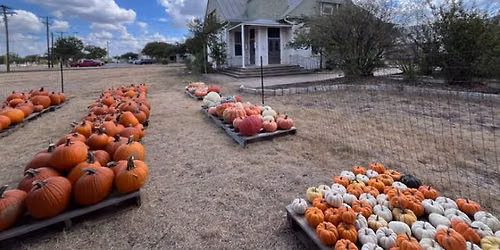 St. Philip's Pumpkin Patch